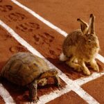 Reasonable Expectations (Lesson 1)