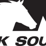 Sold PUTS Norfolk Southern Railroad