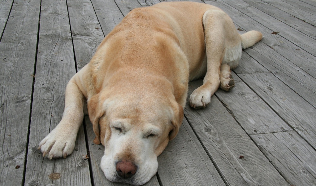 Value Investment Fund