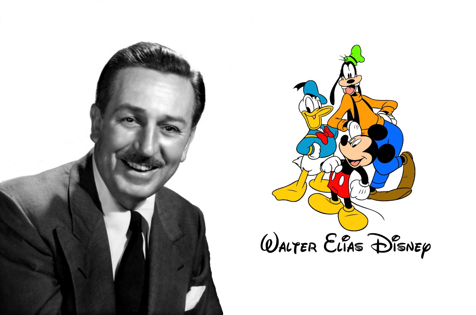 The Walt Disney Company